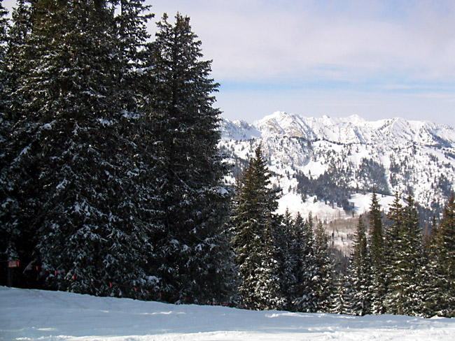 Jupiter05ParkCity035