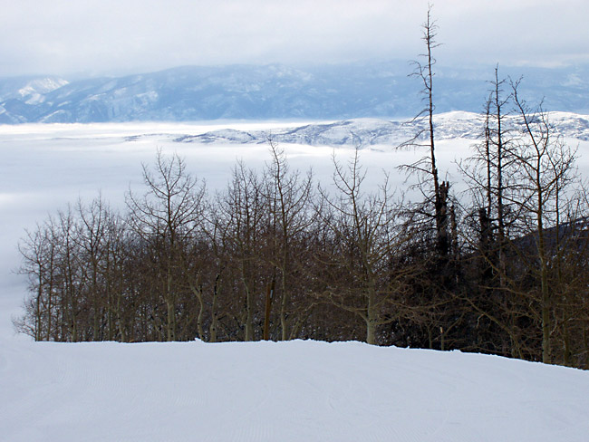ParkCity105